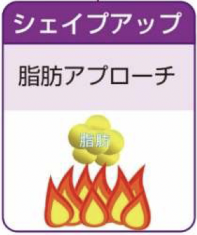 シェイプアップ